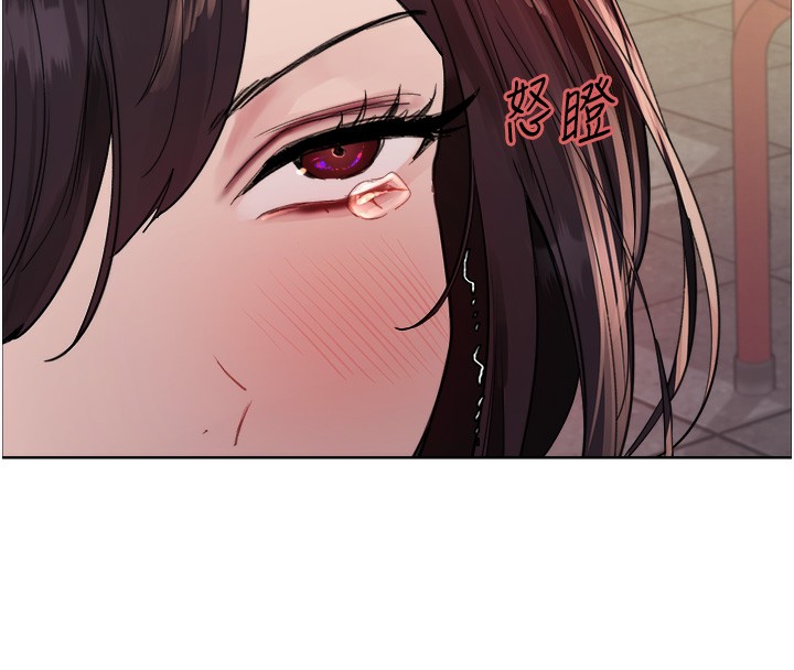 44P - 色轮眼