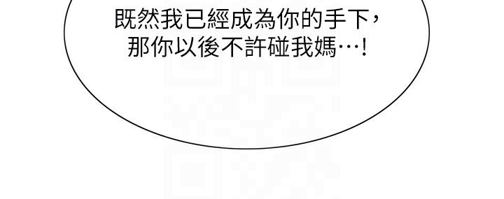 84P - 色轮眼