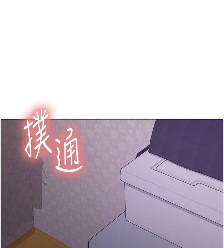25P - 色轮眼