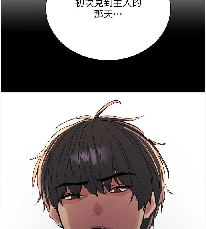 52P - 色轮眼