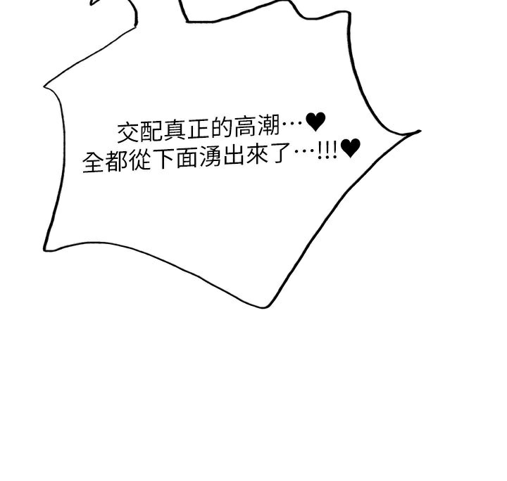 162P - 色轮眼