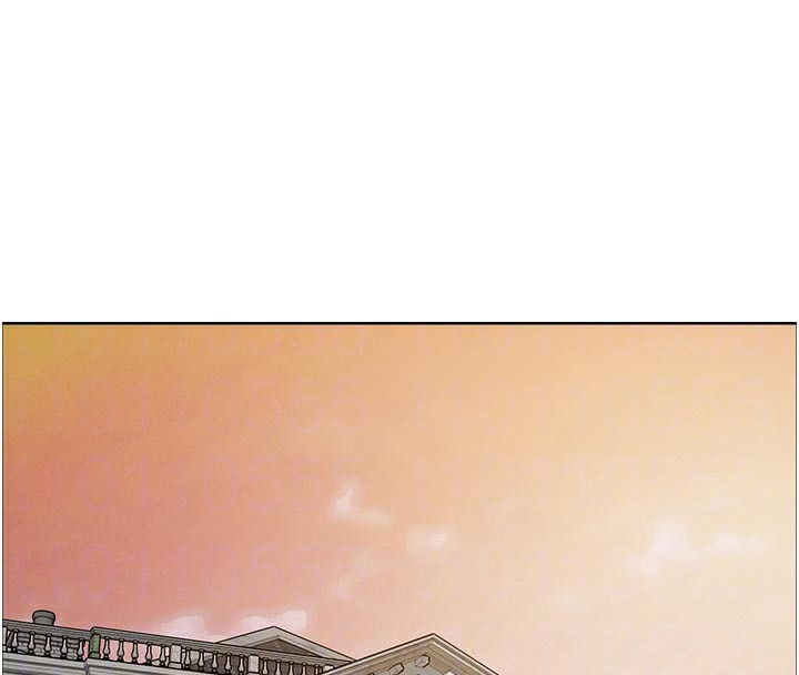 117P - 色轮眼