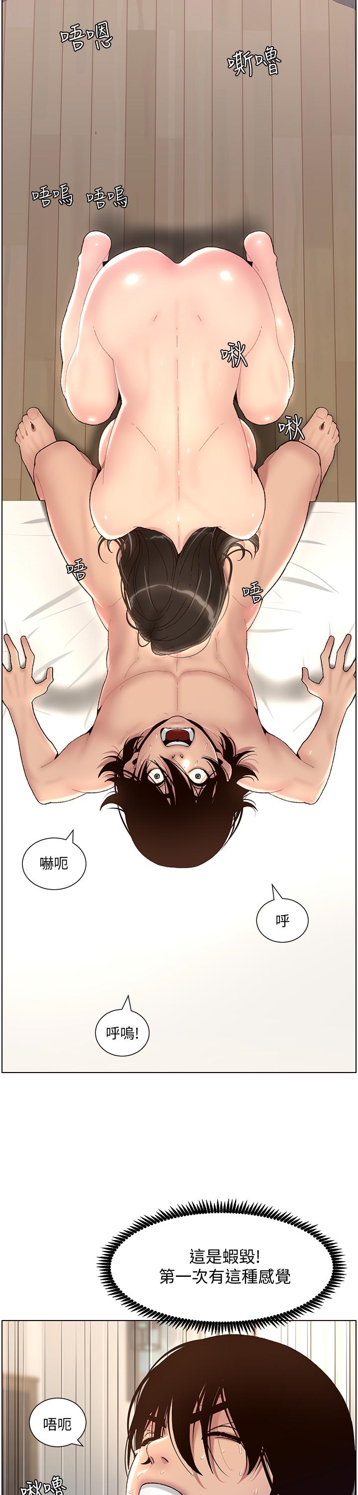 44P - 帝王App