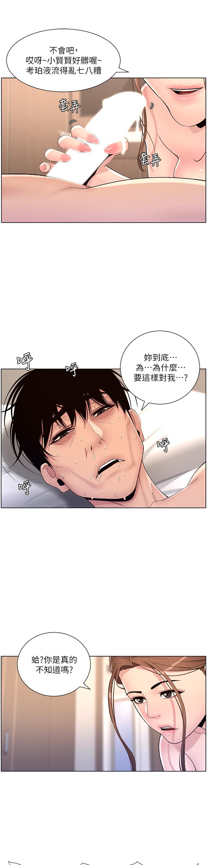 26P - 帝王App