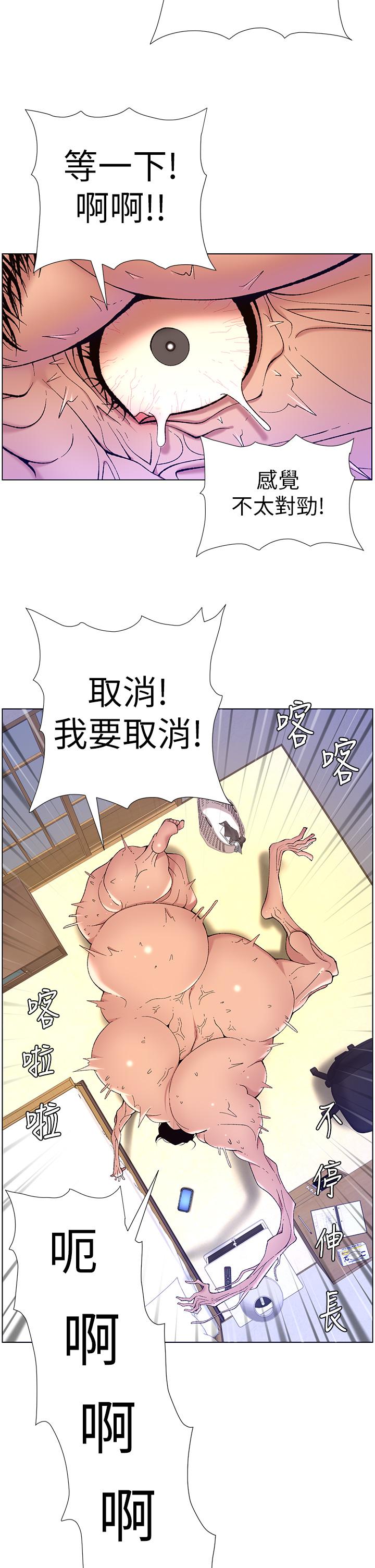 31P - 帝王App