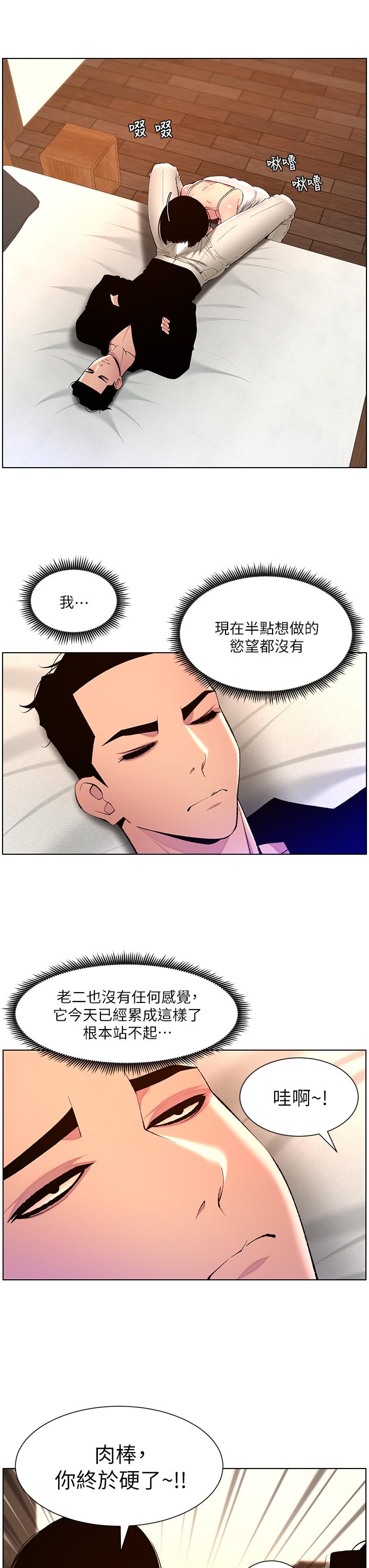 23P - 帝王App