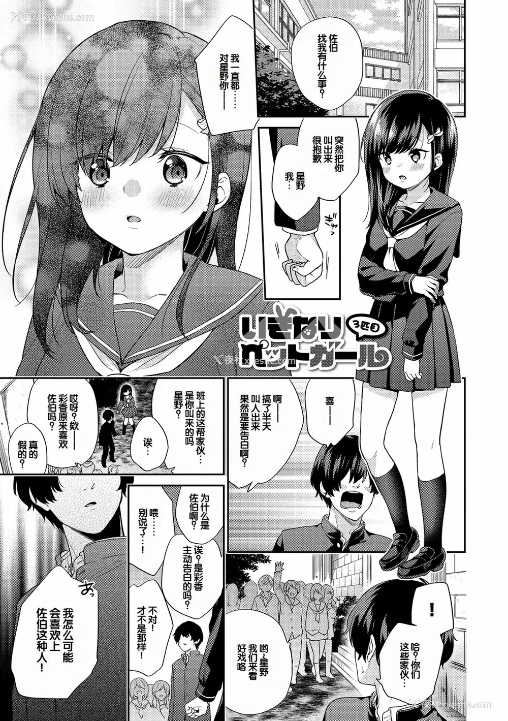 50P - [sorani]スキコイ