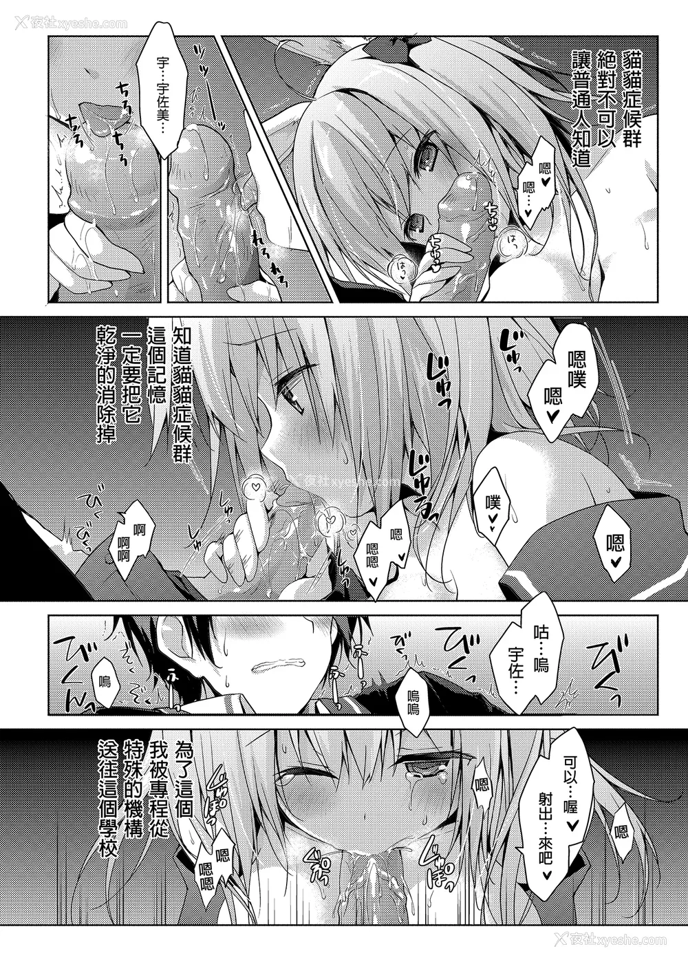 103P - [きのこのみ (konomi)] ニャンコロジ総集编 1-2 (1-9) (10-13) [中国翻訳] [无修正] [DL版]