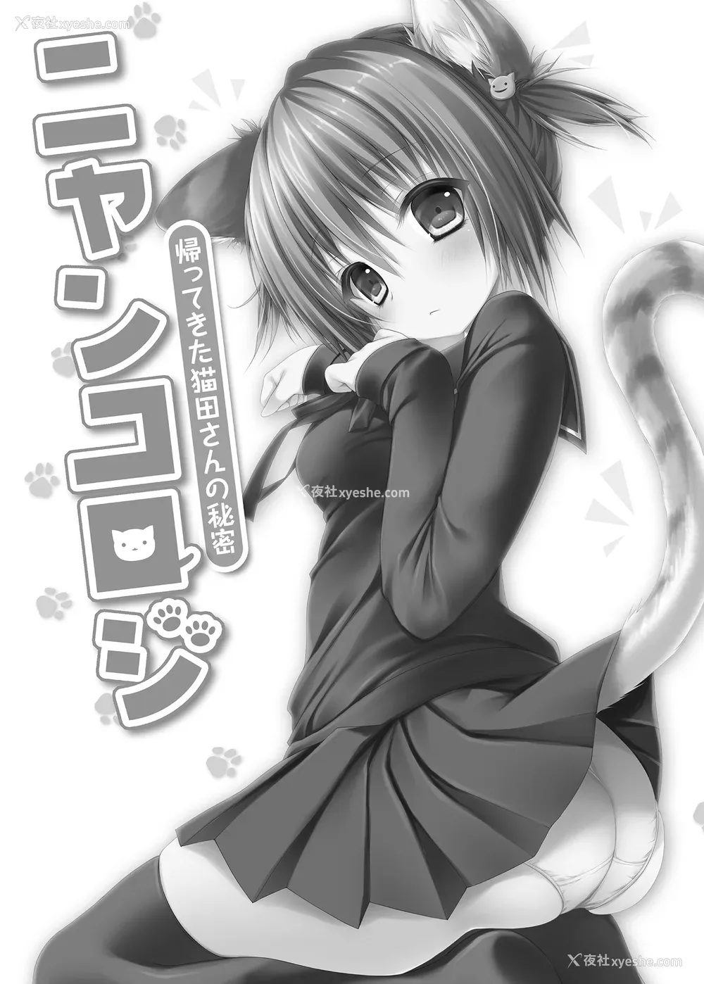 14P - [きのこのみ (konomi)] ニャンコロジ総集编 1-2 (1-9) (10-13) [中国翻訳] [无修正] [DL版]