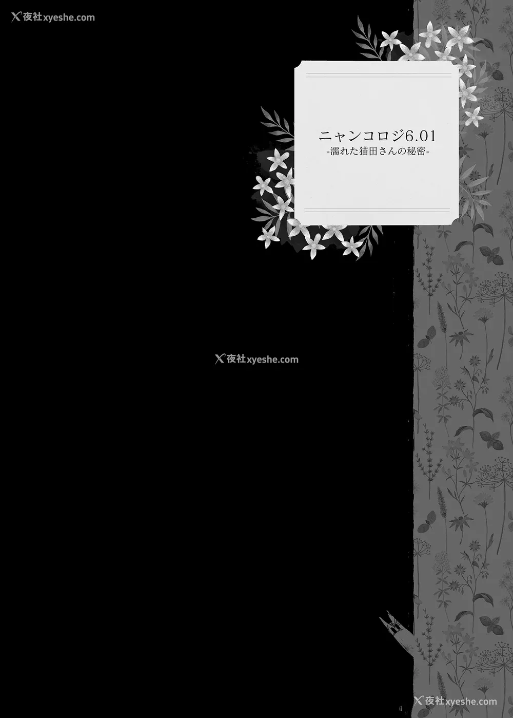 152P - [きのこのみ (konomi)] ニャンコロジ総集编 1-2 (1-9) (10-13) [中国翻訳] [无修正] [DL版]
