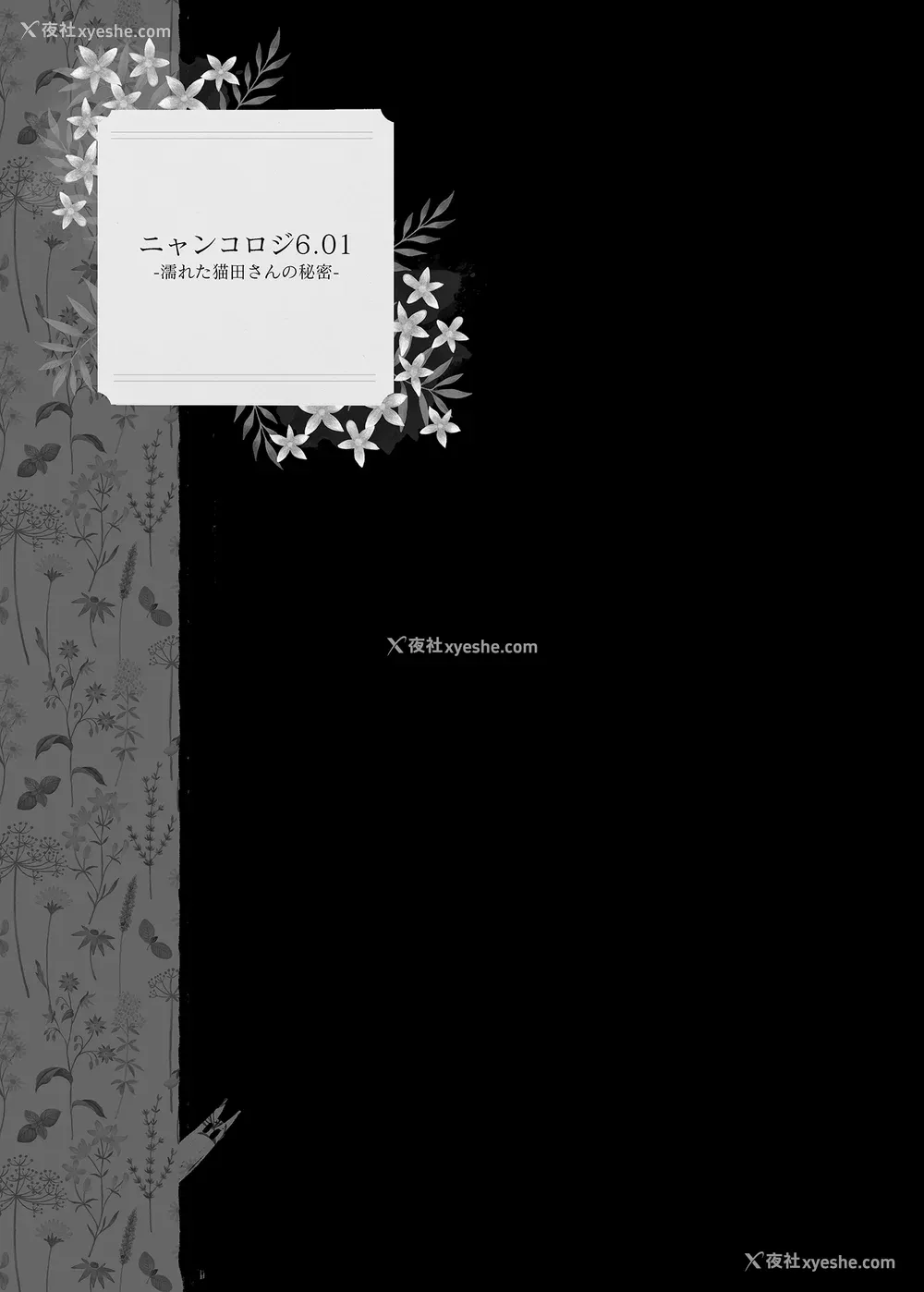 183P - [きのこのみ (konomi)] ニャンコロジ総集编 1-2 (1-9) (10-13) [中国翻訳] [无修正] [DL版]