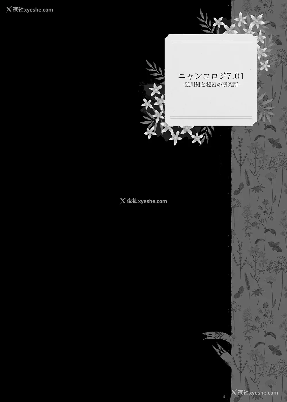 186P - [きのこのみ (konomi)] ニャンコロジ総集编 1-2 (1-9) (10-13) [中国翻訳] [无修正] [DL版]