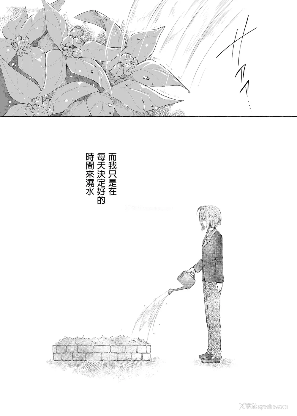 188P - [きのこのみ (konomi)] ニャンコロジ総集编 1-2 (1-9) (10-13) [中国翻訳] [无修正] [DL版]