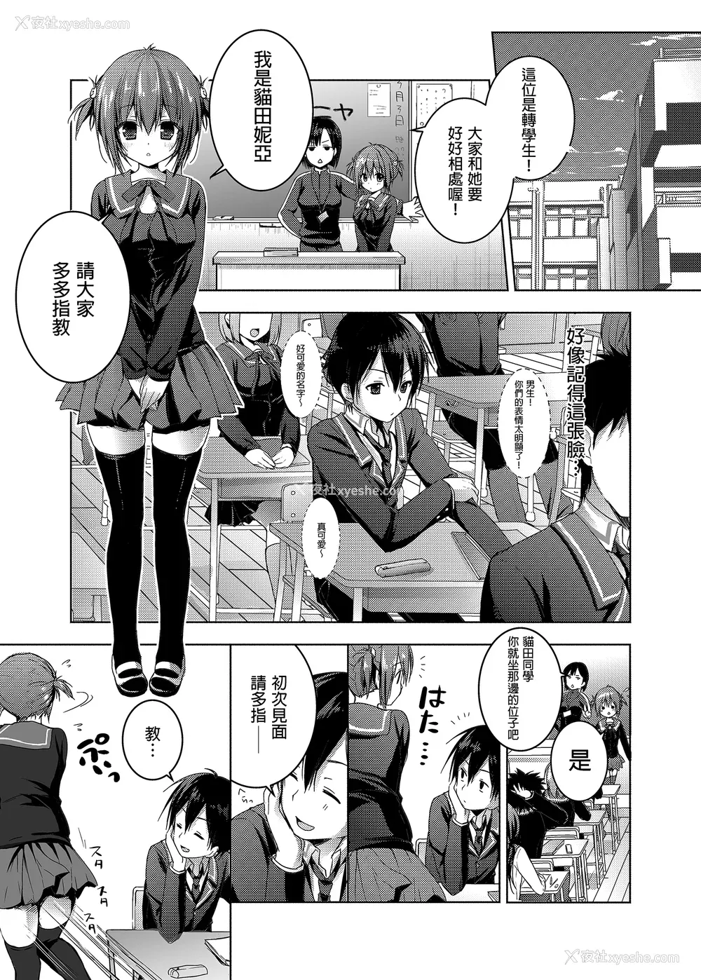 20P - [きのこのみ (konomi)] ニャンコロジ総集编 1-2 (1-9) (10-13) [中国翻訳] [无修正] [DL版]