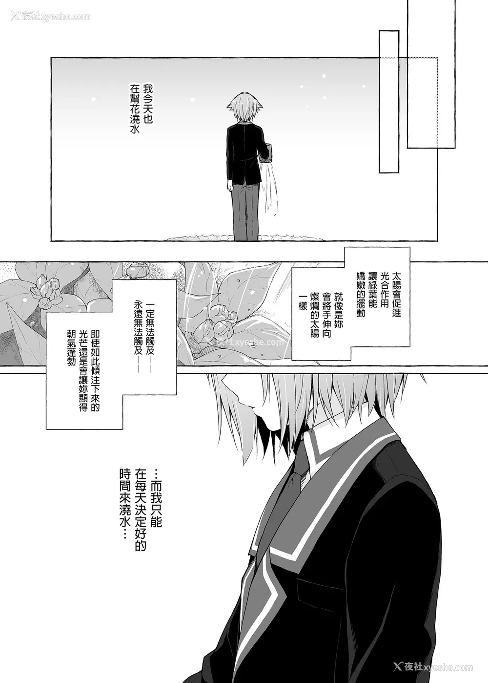215P - [きのこのみ (konomi)] ニャンコロジ総集编 1-2 (1-9) (10-13) [中国翻訳] [无修正] [DL版]