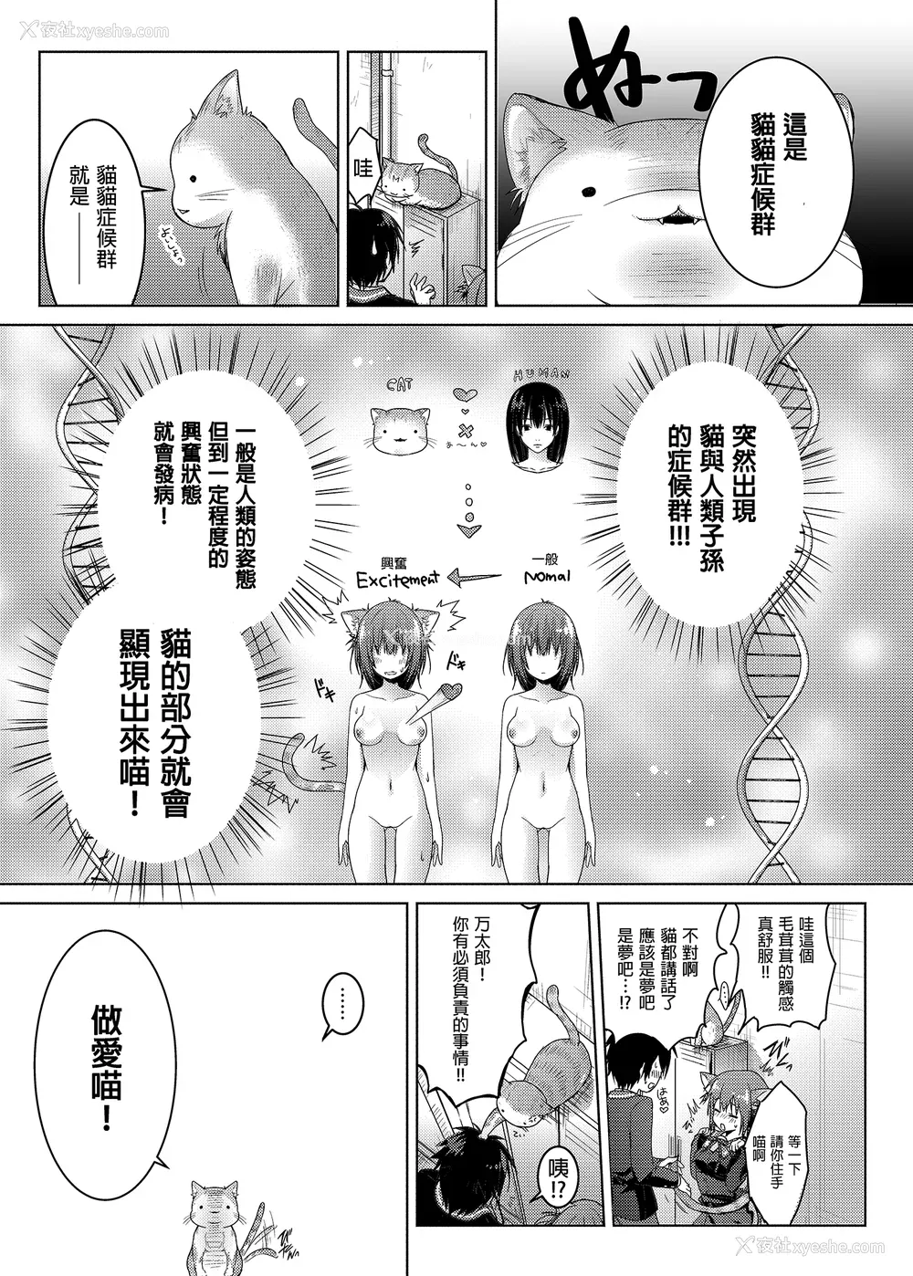 26P - [きのこのみ (konomi)] ニャンコロジ総集编 1-2 (1-9) (10-13) [中国翻訳] [无修正] [DL版]