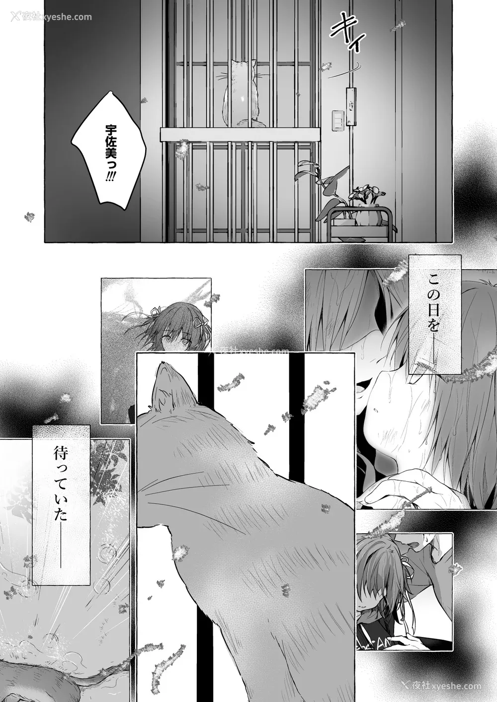 443P - [きのこのみ (konomi)] ニャンコロジ総集编 1-2 (1-9) (10-13) [中国翻訳] [无修正] [DL版]