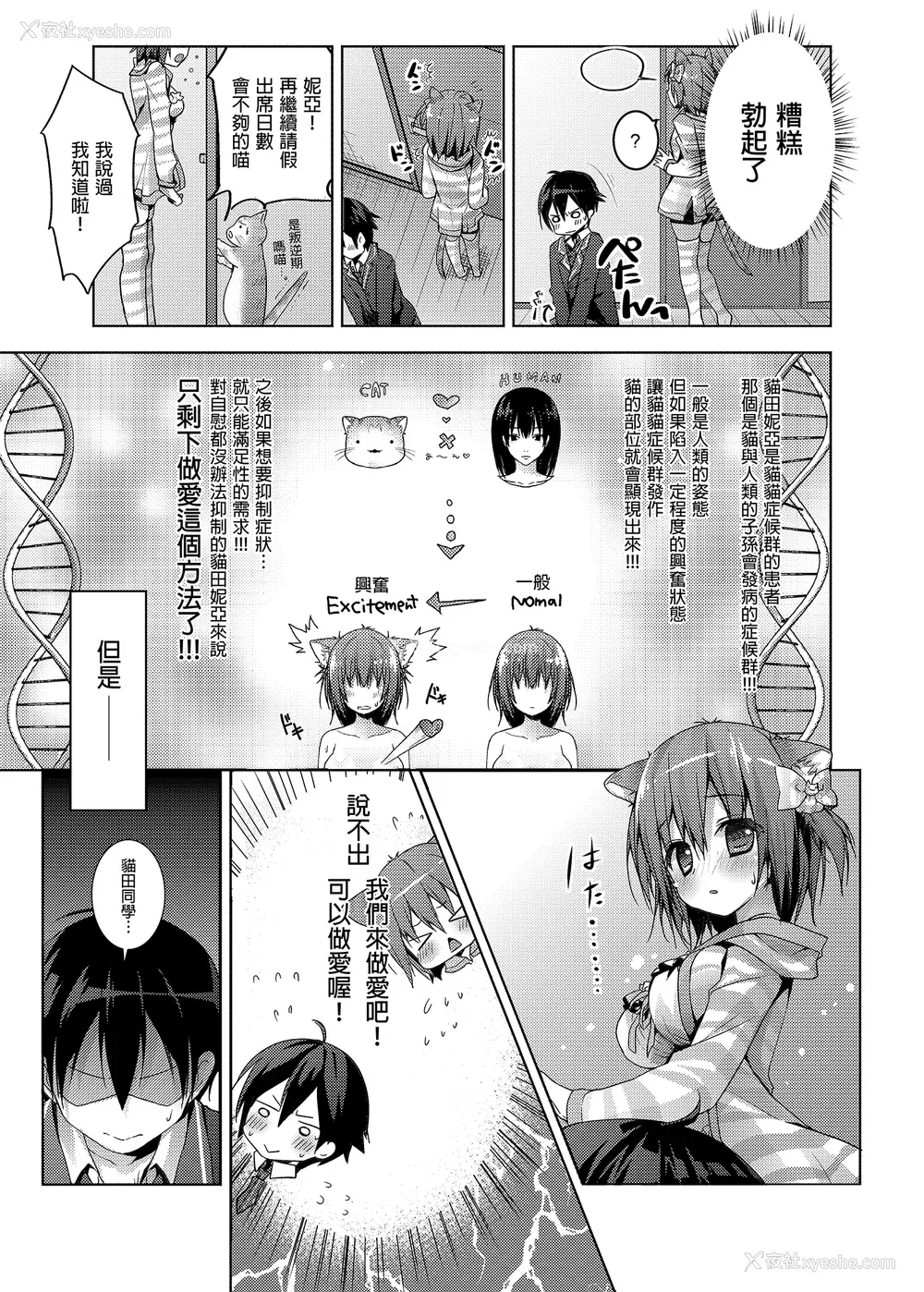 52P - [きのこのみ (konomi)] ニャンコロジ総集编 1-2 (1-9) (10-13) [中国翻訳] [无修正] [DL版]