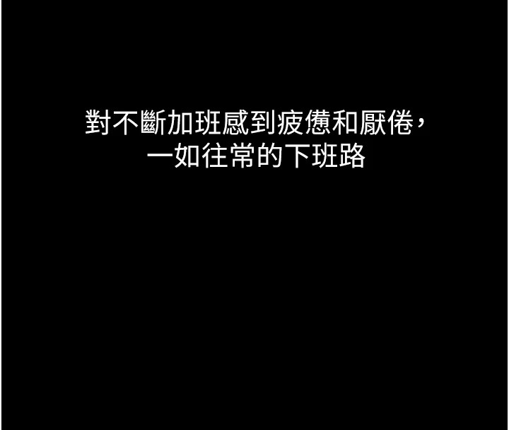 50P - 垃圾堆捡到宠物系萌妹