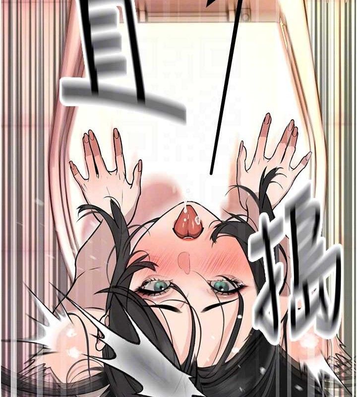 49P - 暴君会长的娇媳们