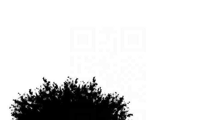 114P - 暴君会长的娇媳们