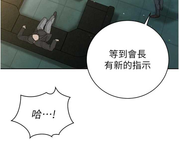 34P - 暴君会长的娇媳们