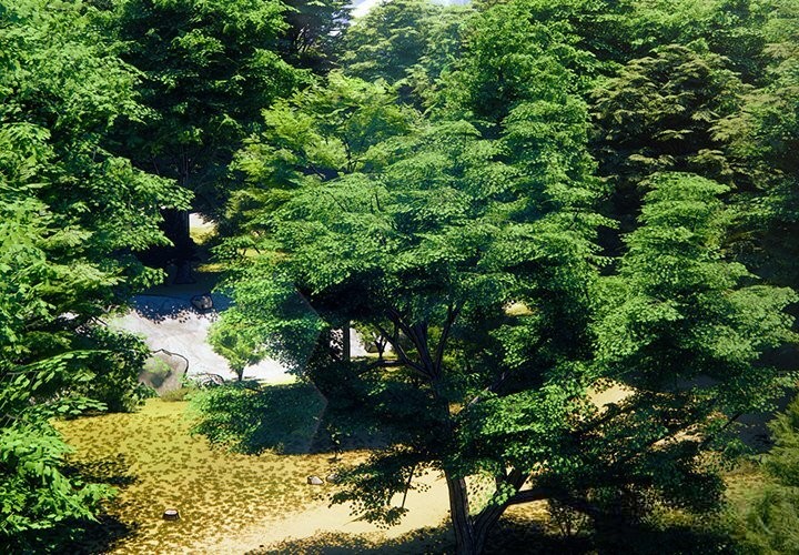 4P - 男人稀缺的异世界