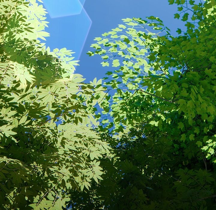 79P - 男人稀缺的异世界