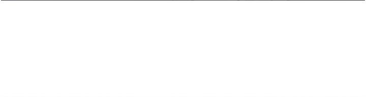 220P - 特色新视界