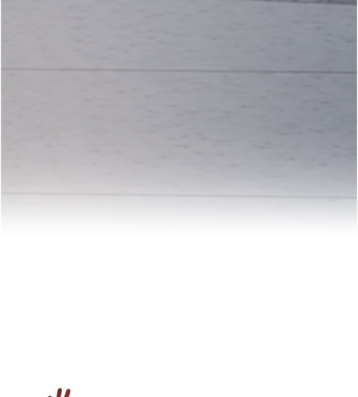 5P - 特色新视界