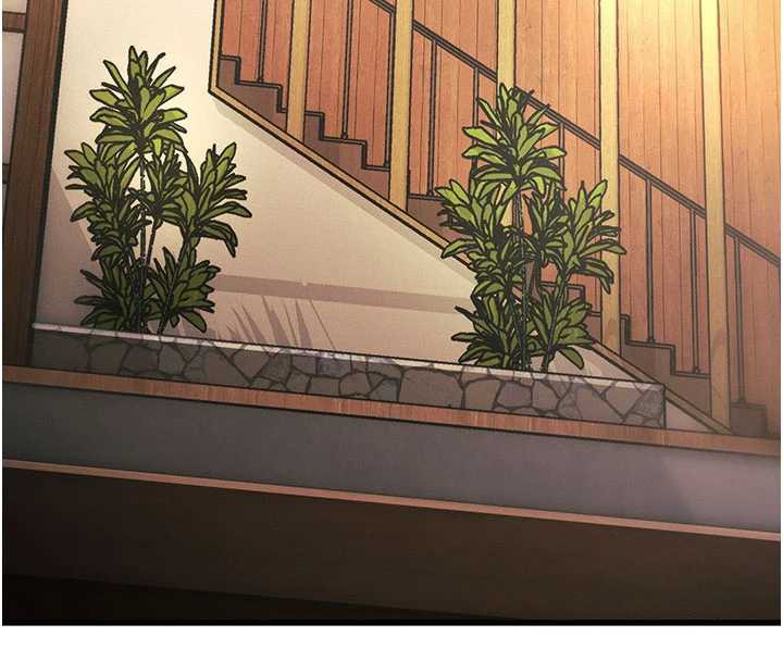 71P - 特色新视界