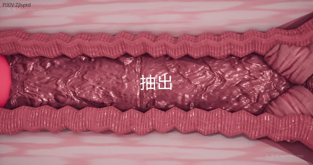 166P - 女特工 IF14下