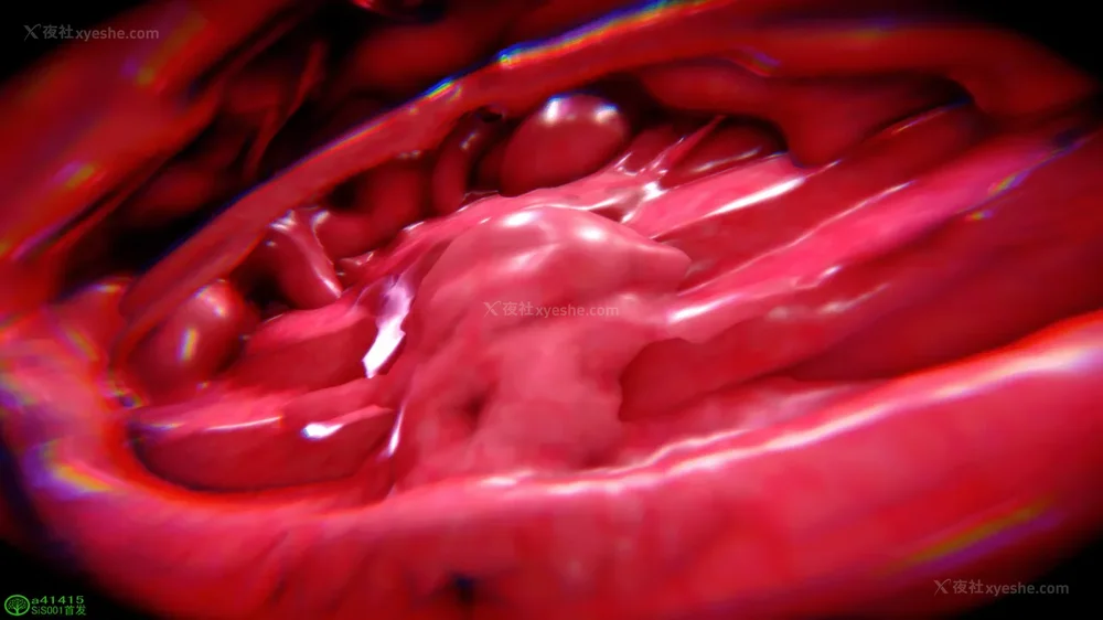 468P - 对魔忍-不知火篇 03-05