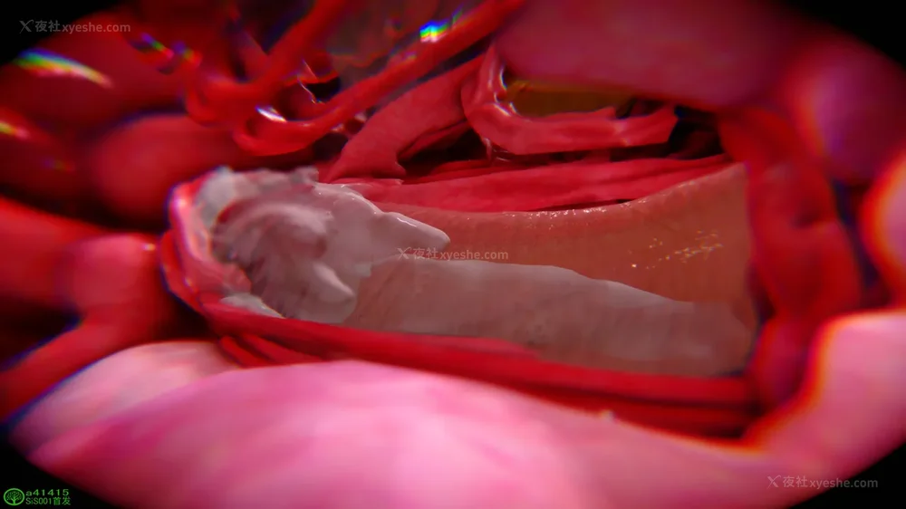 554P - 对魔忍-不知火篇 03-05