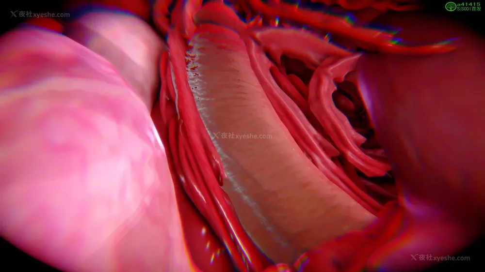 722P - 对魔忍-不知火篇 03-05