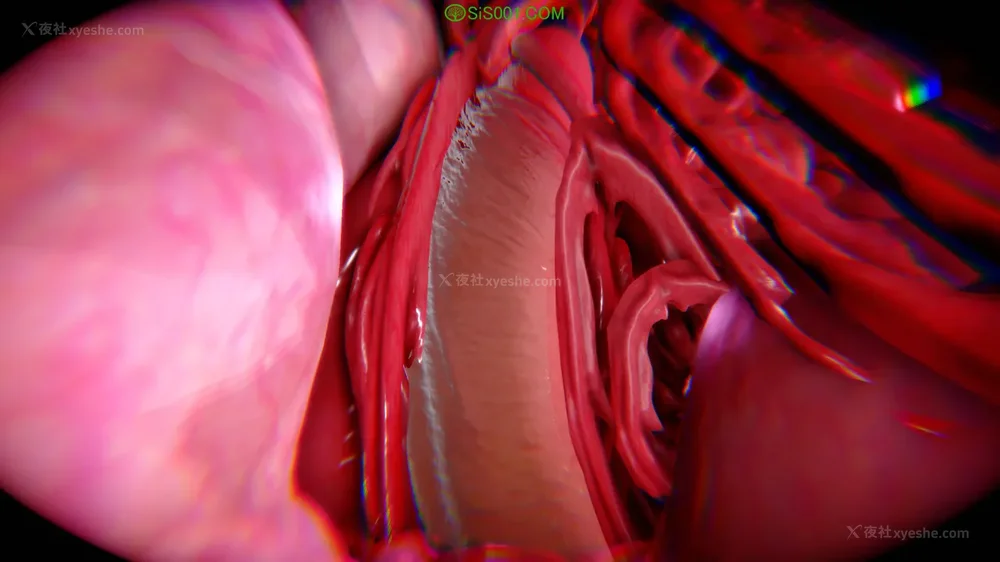 752P - 对魔忍-不知火篇 03-05