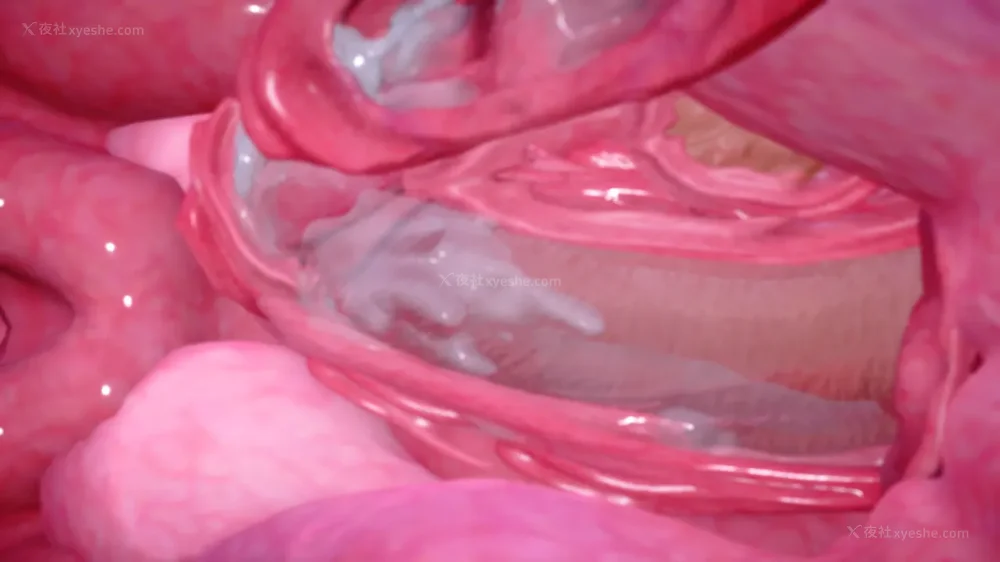 223P - 继母美雪 01-02