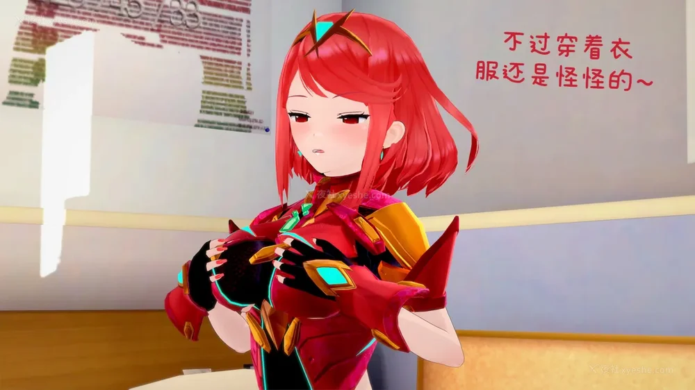 23P - 异度之刃（焰&光）