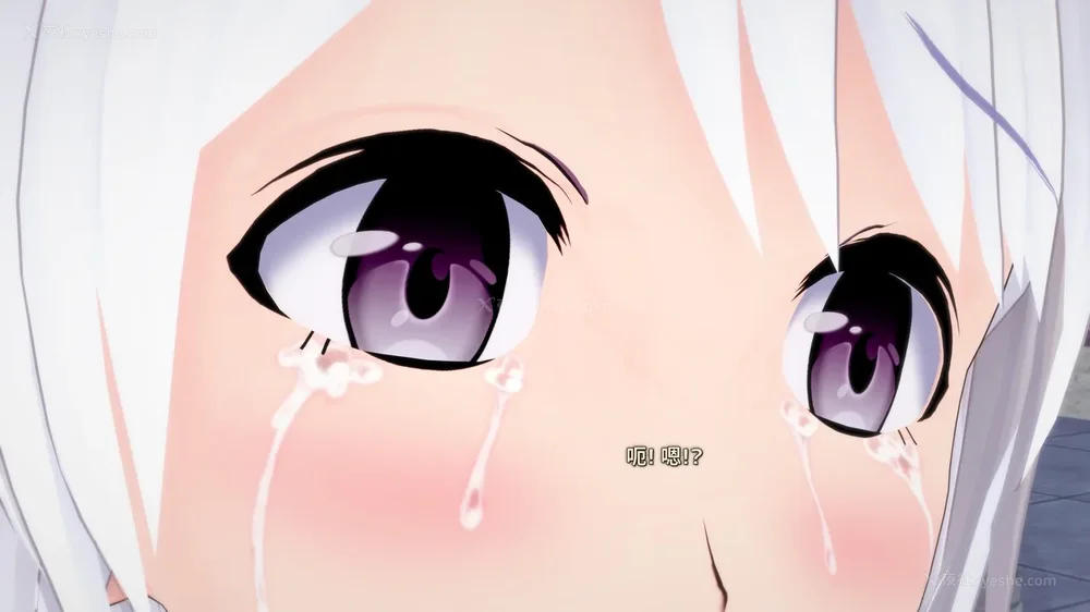 211P - 我的真实命运（My True Fate）：第九章