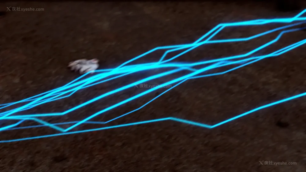 162P - 美少女假面冯迪妮 4