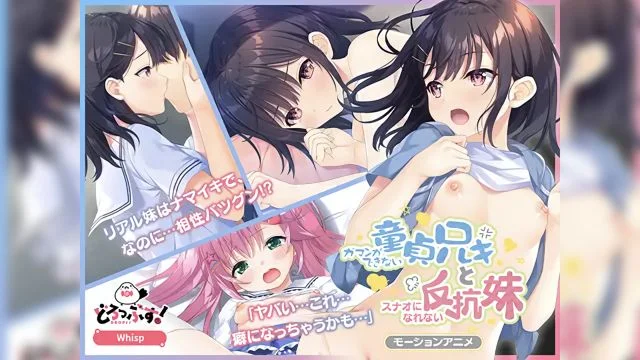 ガマンができない童贞アニキとスナオになれない反抗妹(前编) モーションアニメ