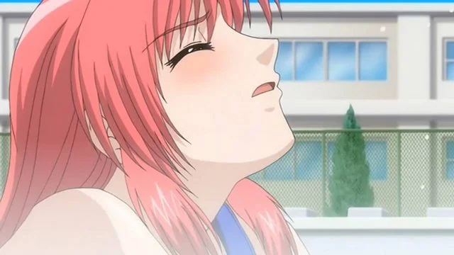 姉孕みっくす Vol.04 瞳姉、受精す! [中文字幕]
