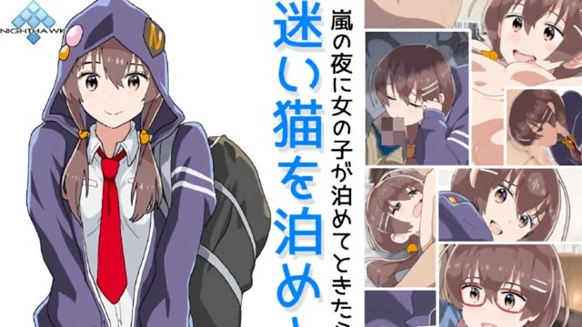 迷い猫を泊めよう