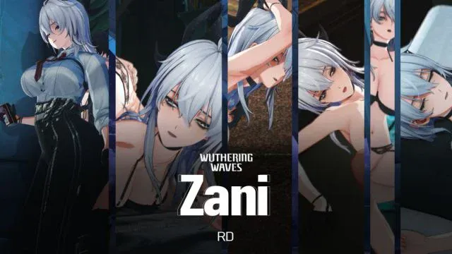 Zani p3